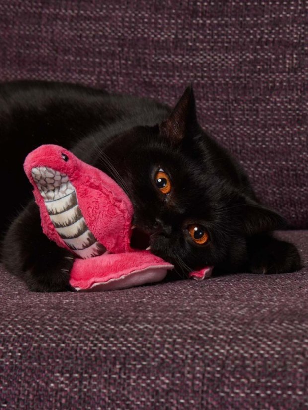 Hračka pro kočky Kobra