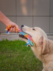 Provazová dentální hračka pro psy Klobása pestrobarevná