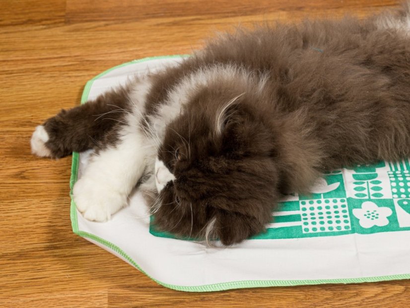 Kobereček impregnovaný Matatabi zelený 40 x 50 cm