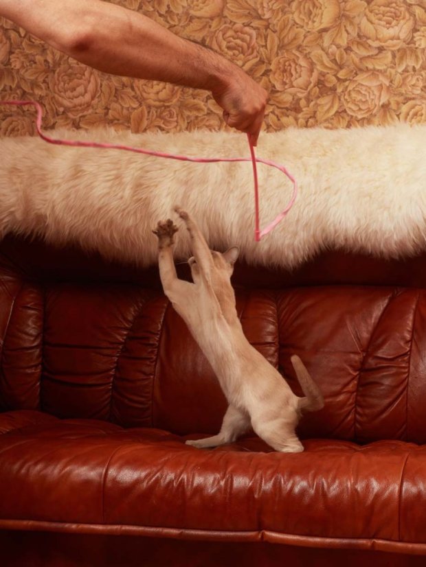 Škádlítko se silným křupáním růžové