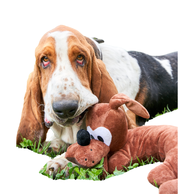 Plyšová hračka antistresový polštář Baset