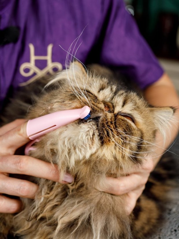 Silikonový anatomický zubní kartáček pro trénink dentální hygieny růžový