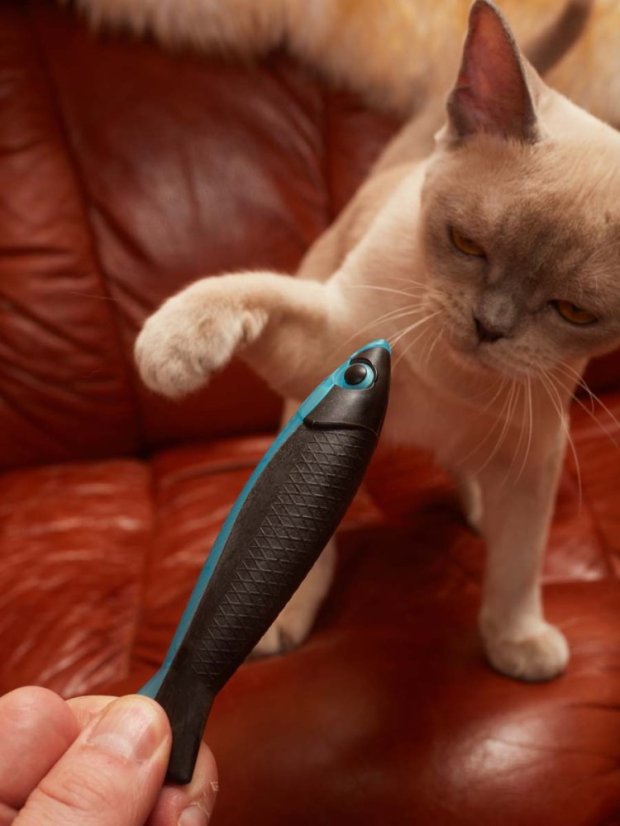 Plastová Ryba s matabi modrá