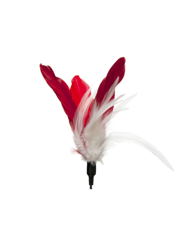 Vábnička Rio de Janeiro s peřím