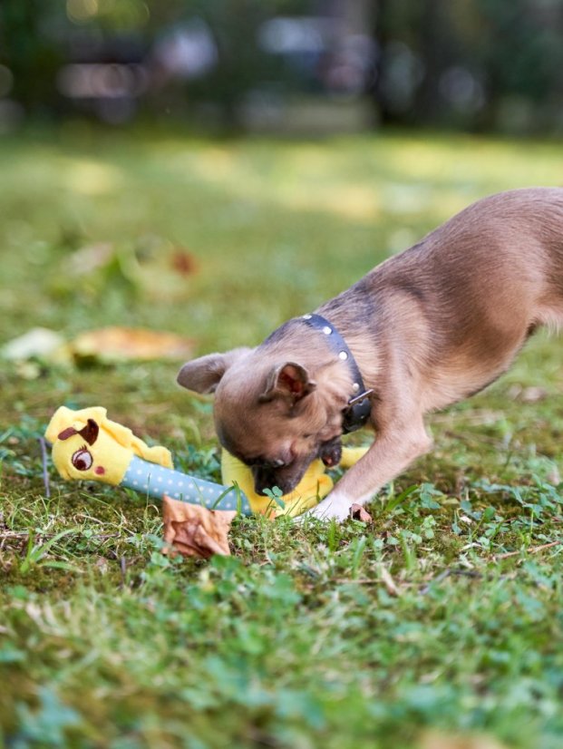 Plyšová hračka pro psa Žirafa