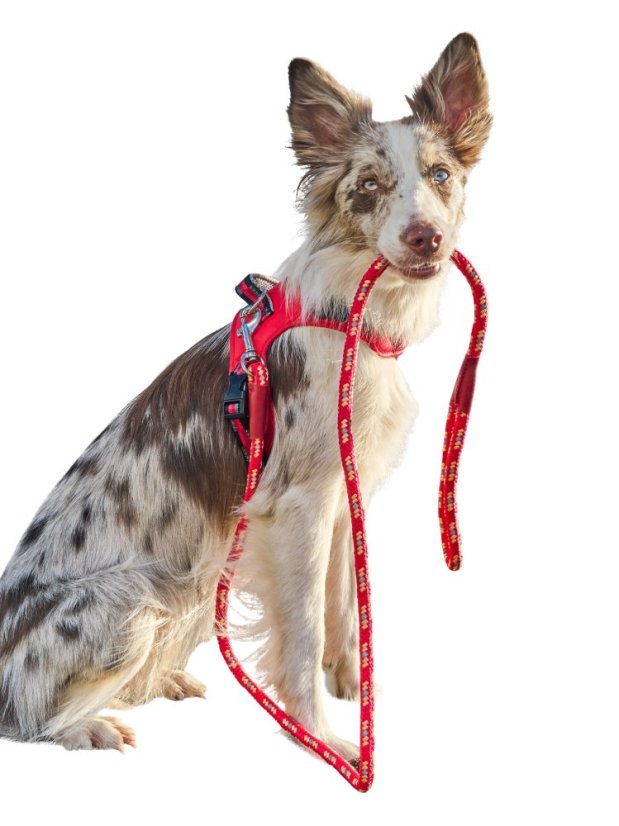 Postroj s ventilační funkcí červený M