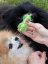 Japan Premium Pet hračka ve tvaru činky na masáž dásní a čištění zubů pro psy, zelená.