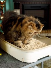 Ultrahrudkující podestýlka s lučními bylinkami 7 l