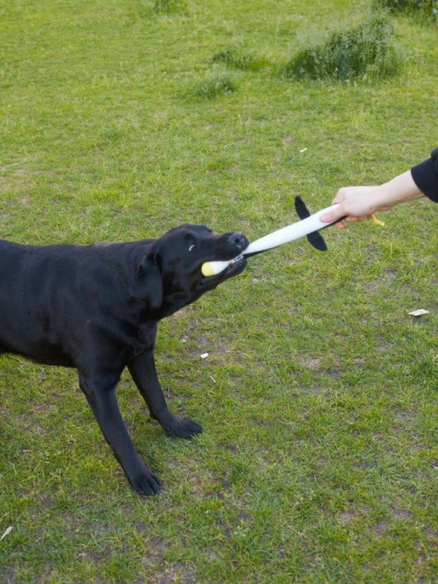 Interaktivní hračka pro psy plyšová Dlouhý tučňák pískací