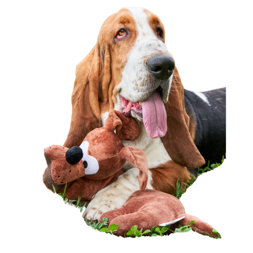 Plyšová hračka antistresový polštář Baset