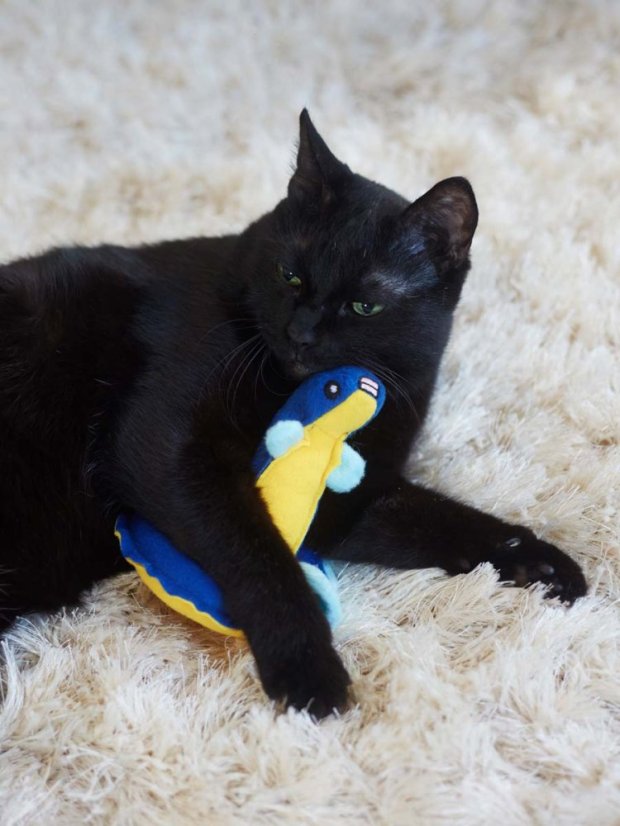 Hračka pro kočky Úhoř