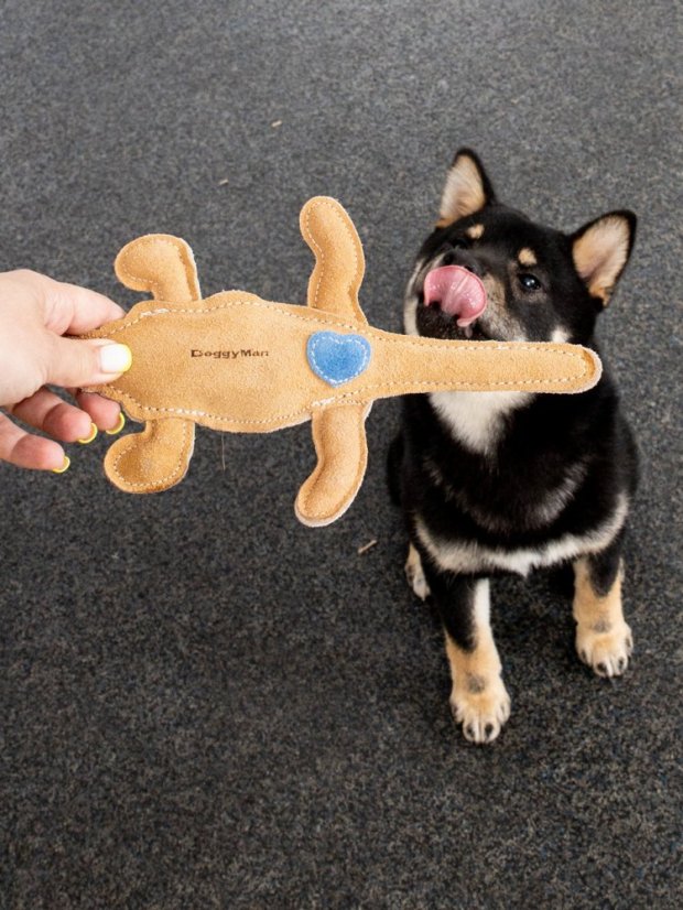 Hračka pro psy kožená Krokodýl masáž dásní