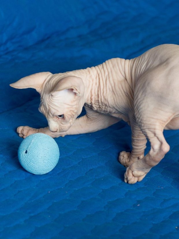 Klubíčka z tenkých nití v modré a růžové 2 ks