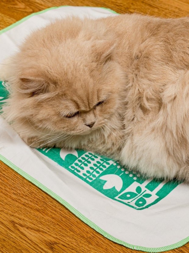 Kobereček impregnovaný Matatabi zelený 40 x 50 cm