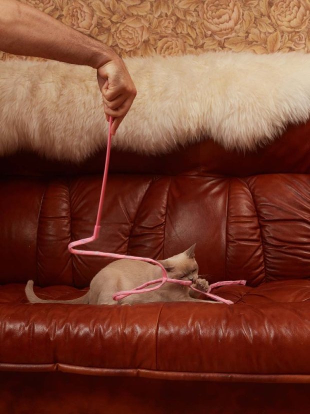 Škádlítko se silným křupáním růžové