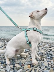 Ergonomický postroj s rozložením zátěže puntíkovaný mentolově zelený M