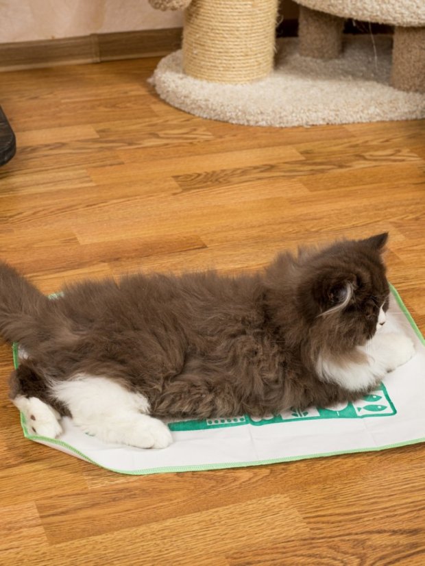 Kobereček impregnovaný Matatabi zelený 40 x 50 cm