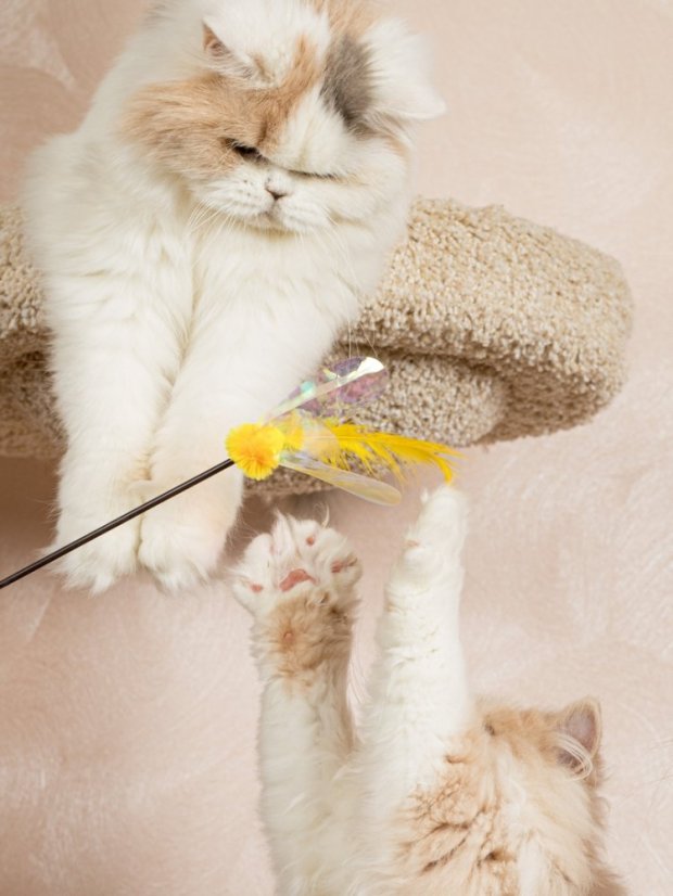 Udice Květ se stimulací tří instinktů lovce pro kočky