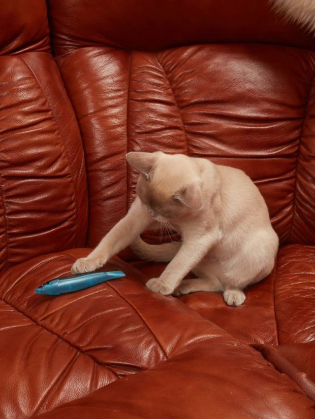 Plastová Ryba s matabi modrá