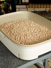 Podestýlka Kokosové mléko s extraktem z bambusu a japonského čaje 6 l