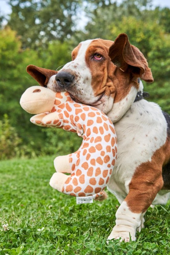 Plyšová hračka antistresový polštář Žirafa