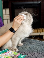 Šamponové ručníky pro koupání bez vody s kolagenem a placentou 25 ks