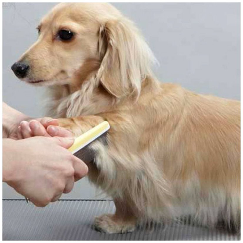 Vyčesávací hřeben s hustými a řídkými zoubky pro kočky a psy