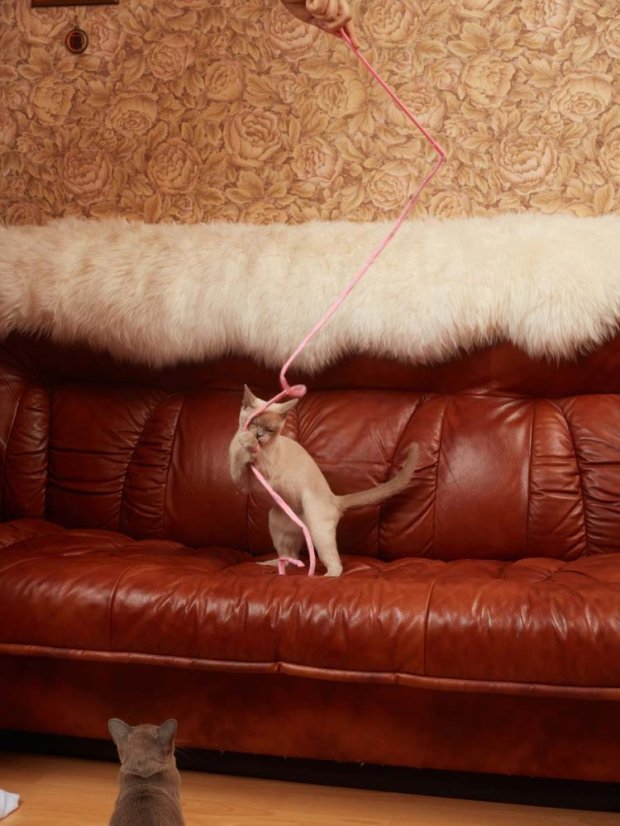 Škádlítko se silným křupáním růžové