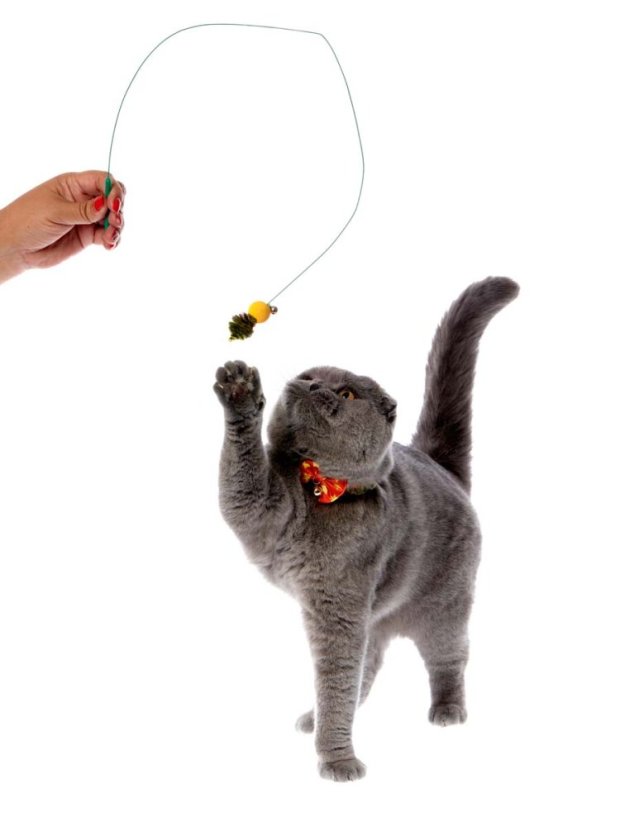 Škádlítko Včela pro kočky