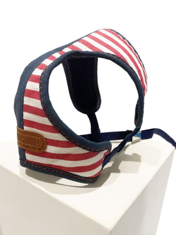 Postroj a vodítko s dvojitým zapínáním pruhovaný červený SSS