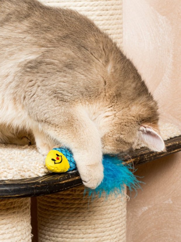 Hračka pro kočky Rybka se šantou kočičí