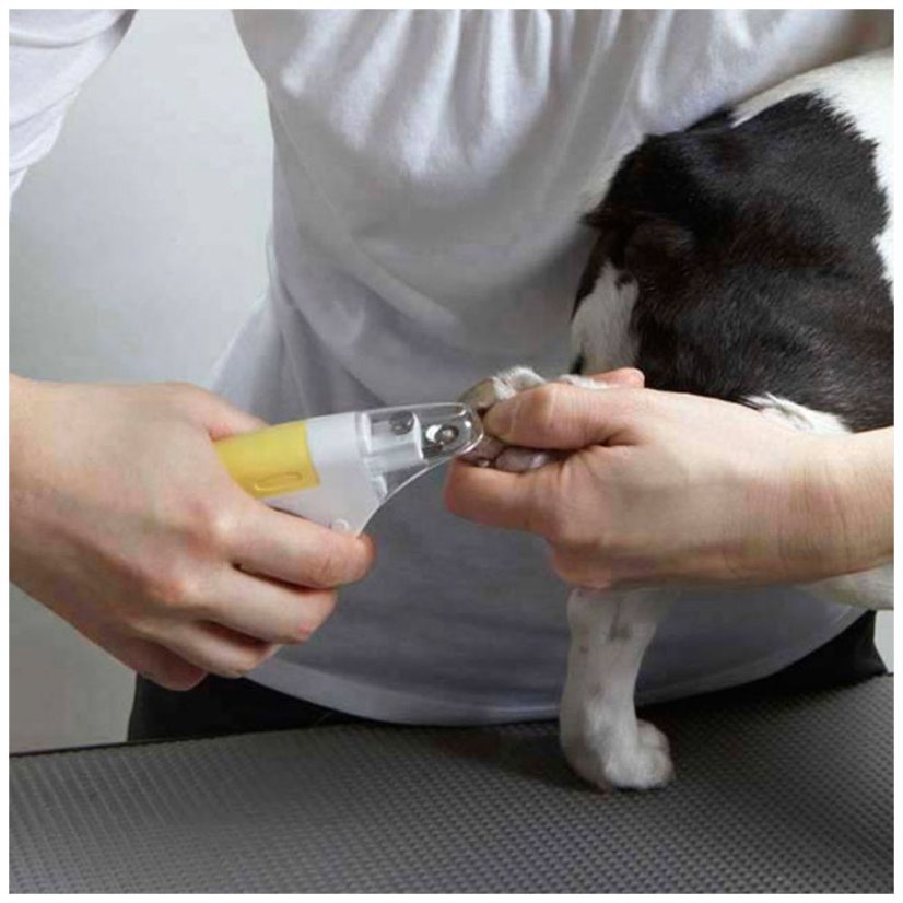 Nůžky na drápky a diamantový pilník pro psy sada