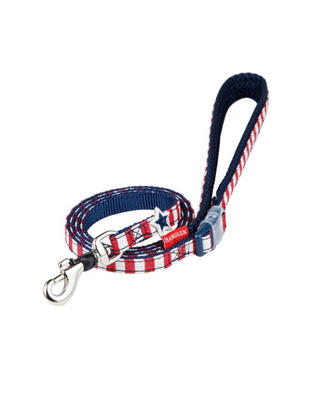 Džínový obojek a vodítko s dvojitým zapínáním pruhovaný červený SS