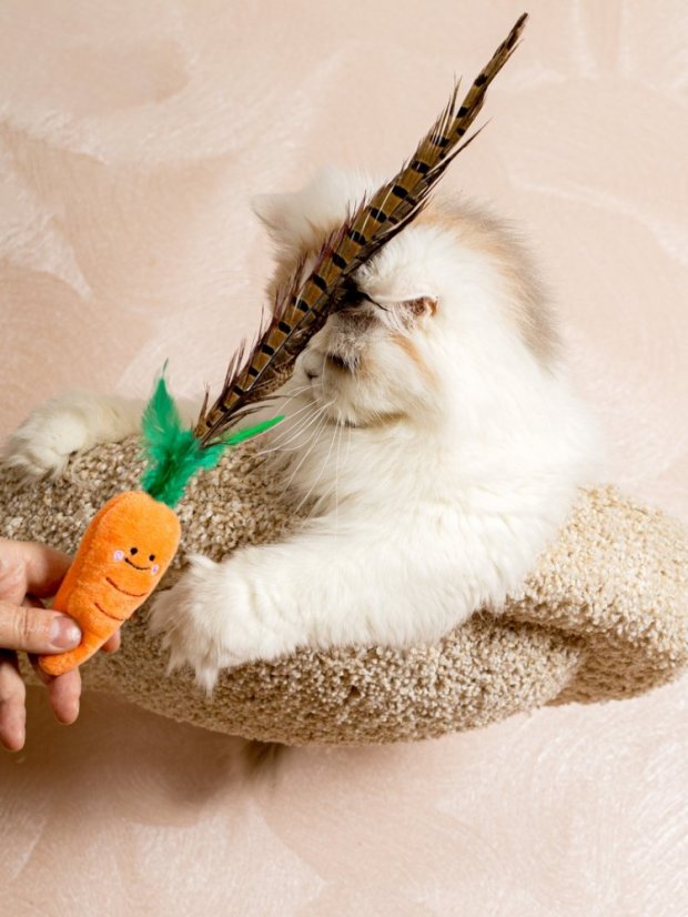 Bažantí pero pro kočky oranžové