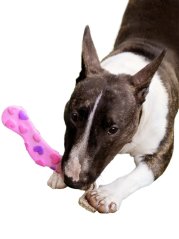 Dentální hračka pro psy Srdíčka z přírodního lnu a latexu