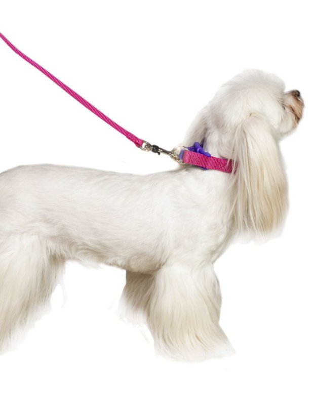 Obojek s dvojitou ochranou Anti-break růžový L