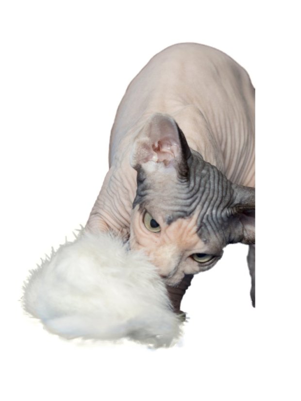 Hračka pro kočky Myška