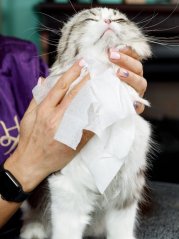 Hypoalergenní šamponové ručníky pro koupání bez vody 25 ks