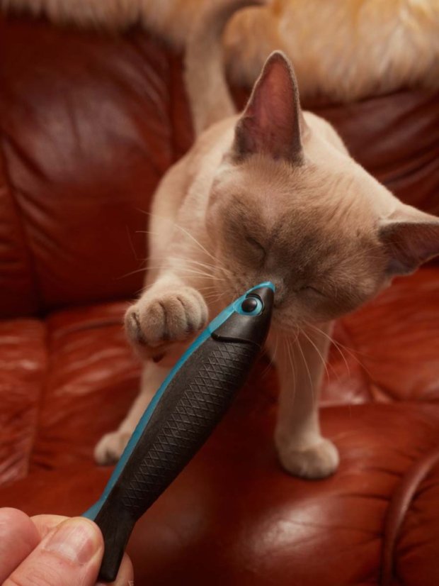 Plastová Ryba s matabi modrá