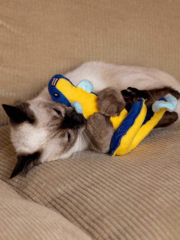 Hračka pro kočky Úhoř