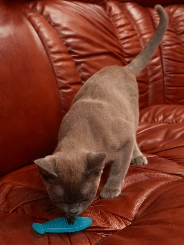 Měkká 3D Ryba s matatabi modrá